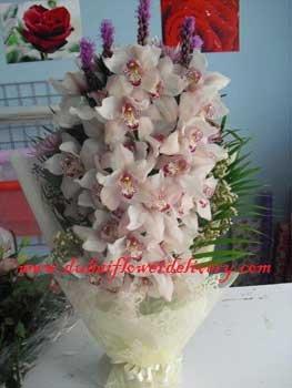 boq-orchid-3stem.jpg